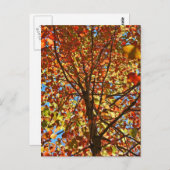 Najaar bladeren Fireworks Briefkaart (Voorkant / Achterkant)