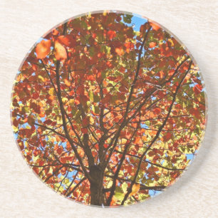 Najaar bladeren Fireworks Zandsteen Onderzetter