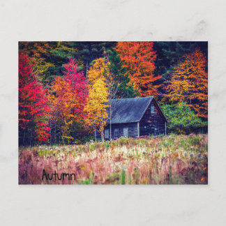 Najaar Bossen Briefkaart Shack