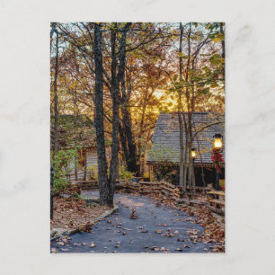 Najaar Bossen Sunset Walkway Briefkaart