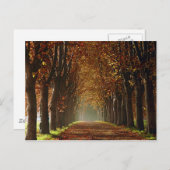 najaar briefkaart (Voorkant / Achterkant)