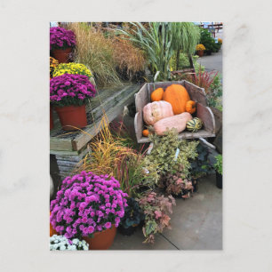 Najaar Decor Briefkaart