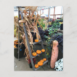 Najaar Decor Briefkaart