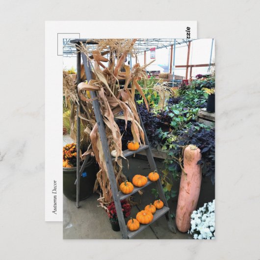 Najaar Decor Briefkaart (Voorkant / Achterkant)