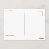 Najaar Decor Briefkaart (Achterkant)