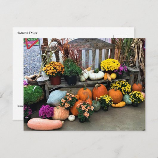 Najaar Decor Briefkaart (Voorkant / Achterkant)