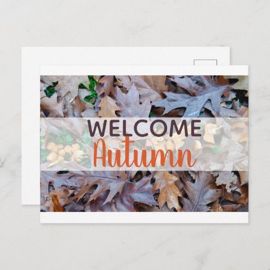 Najaar gevallen bladeren bruin bladeren feestdagenkaart (Voorkant / Achterkant)