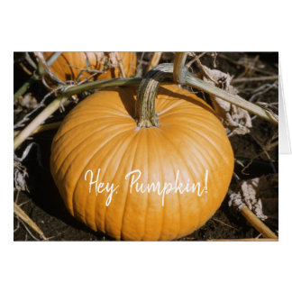 Najaar Grote Oranje HALLOWEEN Pumpkin Herfst Squas