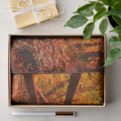 Najaar Herfst Modern Gift Wrap verlaat Sinaasappel Tissuepapier (Geschenk)