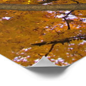 Najaar in Blacksburg, Virginia Poster (Hoek)