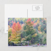 Najaar in de Adirondacks Briefkaart (Voorkant / Achterkant)