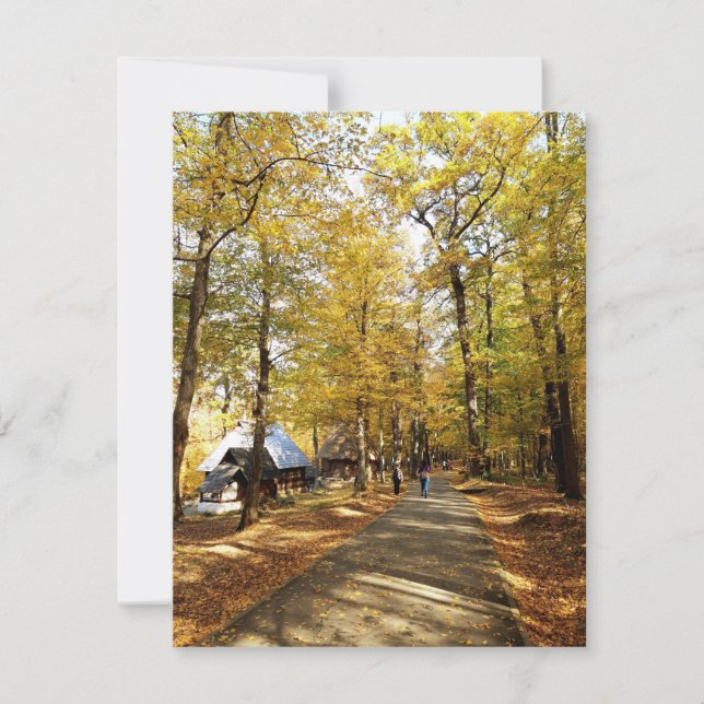 Najaar in het park in Roemenië (Voorkant)