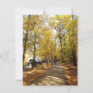 Najaar in het park in Roemenië