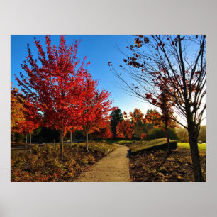 Najaar in het park, Oregon Poster