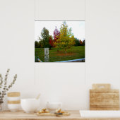 Najaar in Missouri Poster (Keuken)