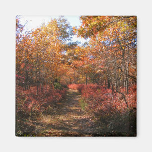 Najaar in New England 32 ~ magnet Magneet