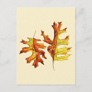 Najaar laat mooie Natuur Waterverf kunst Briefkaart