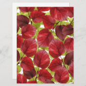 Najaar leves Pattern (Voorkant / Achterkant)