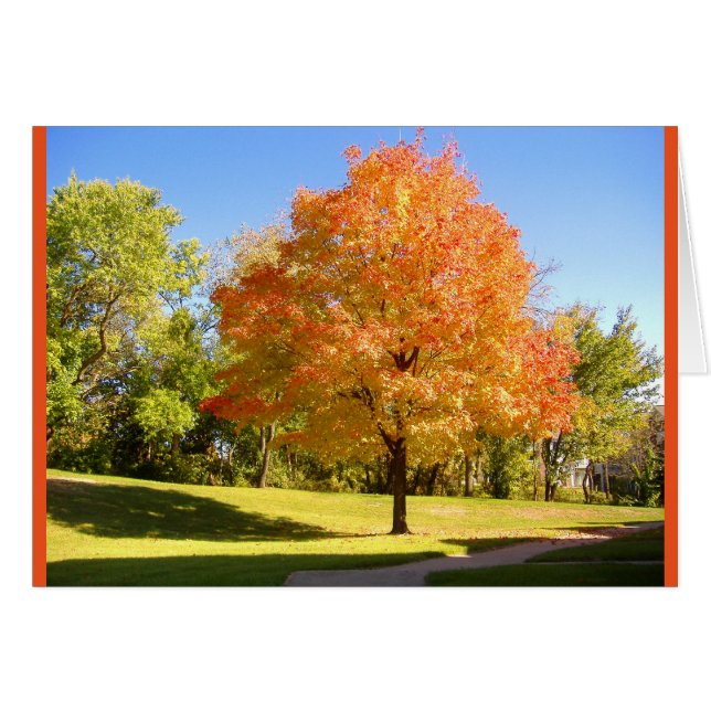 Najaar Maple. (Voorkant Horizontaal)