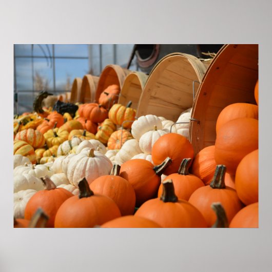 Najaar Poster Pumpkins (Voorkant)