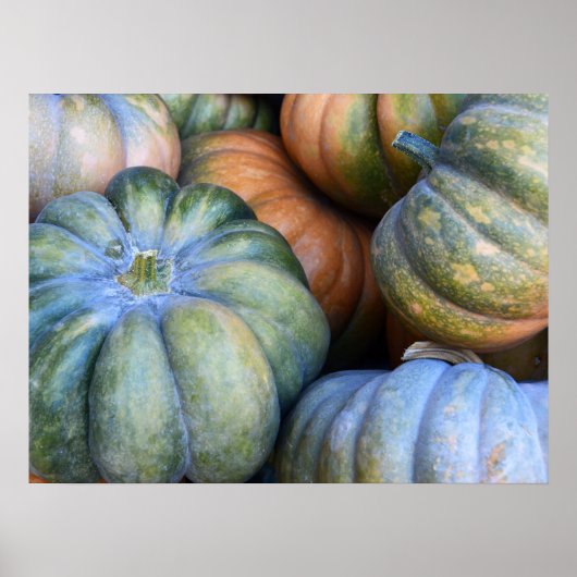 Najaar Poster Pumpkins (Voorkant)