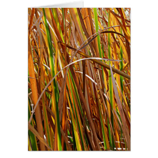 Najaar Reeds nummer 5 (verticaal)