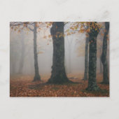 Najaar uitzicht van het bos met foggy, grootvader  briefkaart (Voorkant)