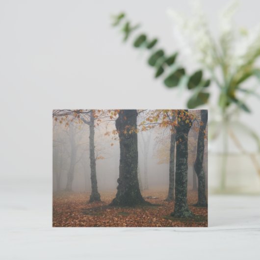 Najaar uitzicht van het bos met foggy, grootvader  briefkaart (Staand voorkant)