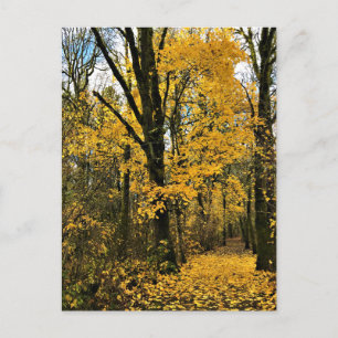 Najaar van de Bossen Briefkaart