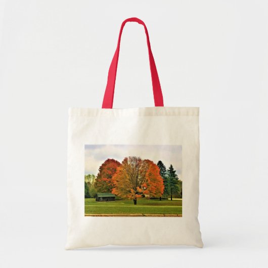 Najaar West Bend, Wisconsin Tote Bag (Voorkant)