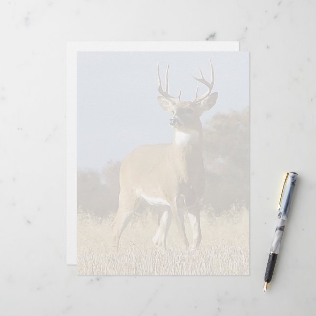 Najaar — Whitetail Buck (Voorkant / Achterkant in situ)