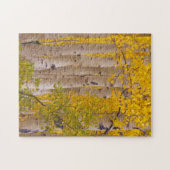 Najaarasfalten in Kebler Pass in Colorado Legpuzzel (Horizontaal)