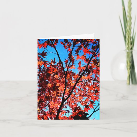 Najaarbladeren Kaart (Voorkant)