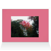 Najaarbomen-Herfst Birthday Kaart (Binnen Horizontaal (Boven))