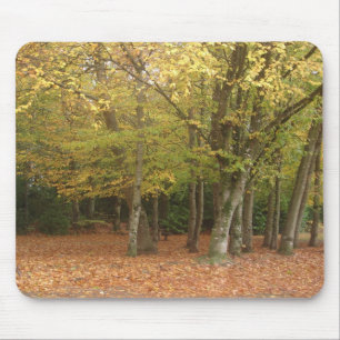 Najaarbomen Muismat