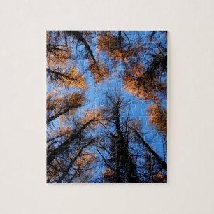 Najaarbomen op zonsondergang legpuzzel