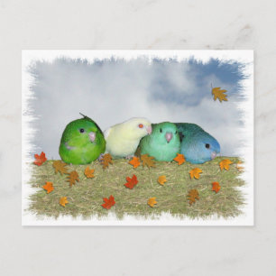 Najaardag Briefkaart