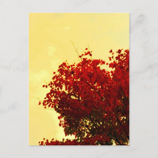 Najaarkleur Briefkaart (Voorkant)