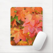 Najaarkleur Muismat (Met muis)