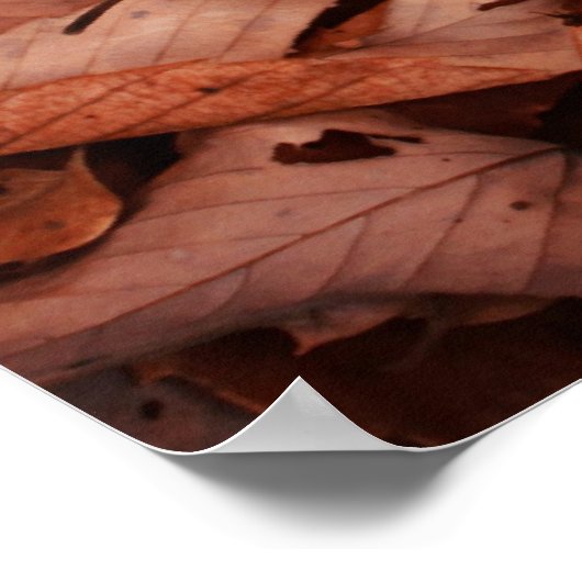 Najaarkleur Poster (Hoek)