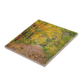 najaarkleuren in het staatspark Independence Tegeltje (Zijkant)