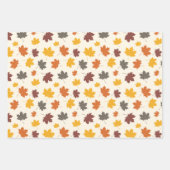 Najaarkleuren Inpakpapier Vel (Voorkant 3)