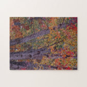 Najaarkleuren Legpuzzel (Horizontaal)