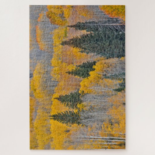 Najaarkleuren op Aspen Groves Legpuzzel (Verticaal)