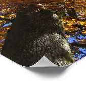 Najaarkleuren Poster (Hoek)