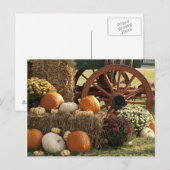 Najaarpompoenen en Mom-display Briefkaart (Voorkant / Achterkant)