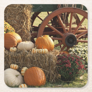 Najaarpompoenen en Mom-display Vierkante Kartonnen Onderzetter