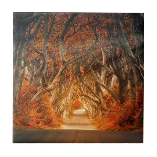 Najaars Bossen - snijpad Tegeltje (Voorkant)