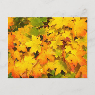 Najaars Leaf Tree Herfst Natuur Forest Destiny Sea Briefkaart