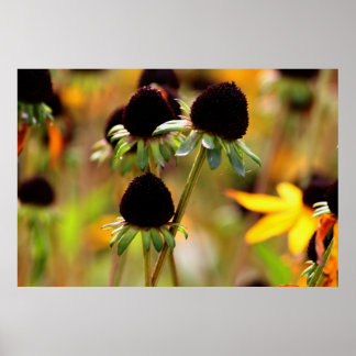 Najaars naderingen poster